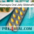 Kamagra Oral Jelly Sildenafil cialis1